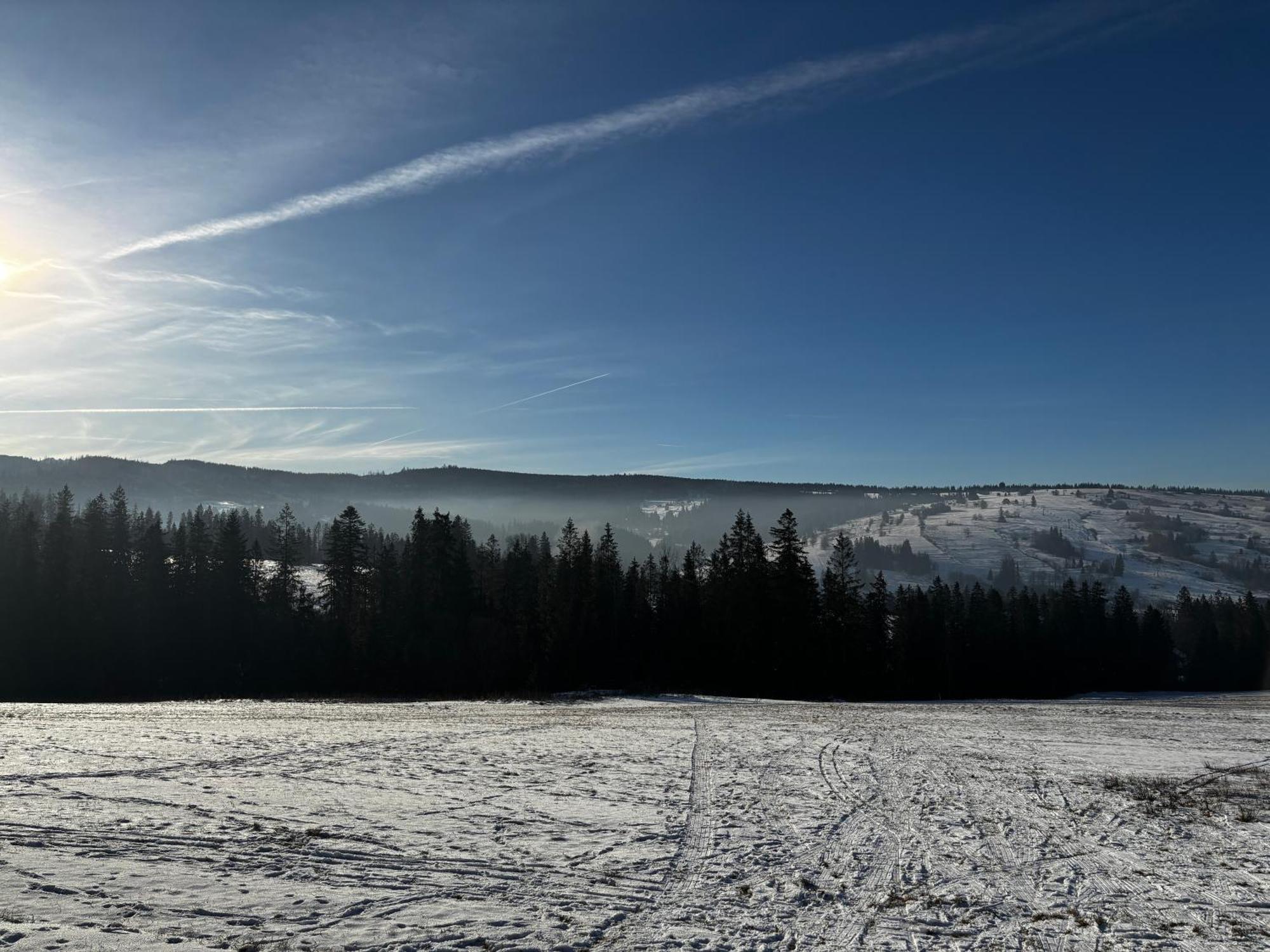 Witowianskie Domki Z Kominkiem, Jacuzzi I Sauna Dzianisz Luaran gambar